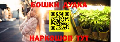 прущие грибы Краснознаменск