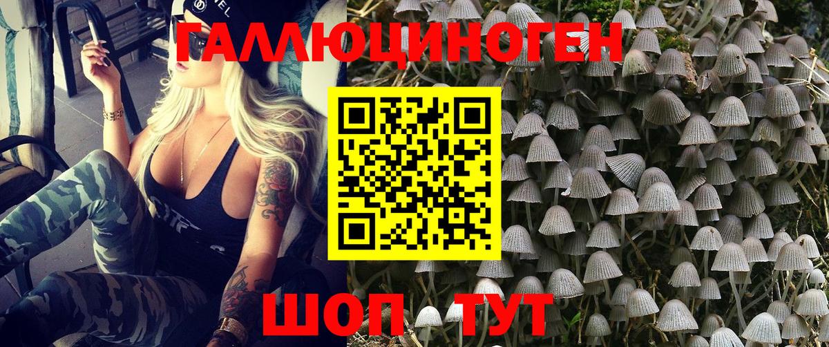 Псилоцибиновые грибы мицелий  Вход с VPN  Галлюциногенные грибы GOLDEN TEACHER  Коркино 